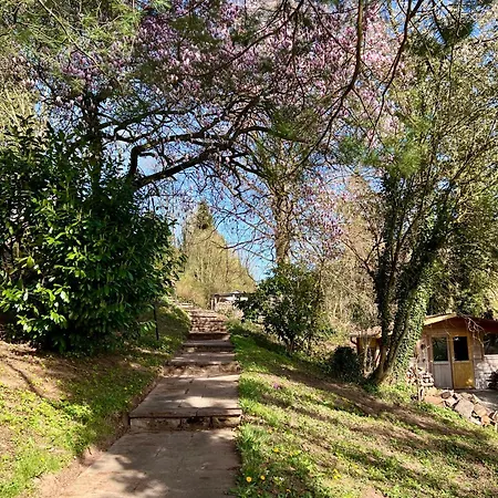 Anna's Waldchalet - Waldblick דירה